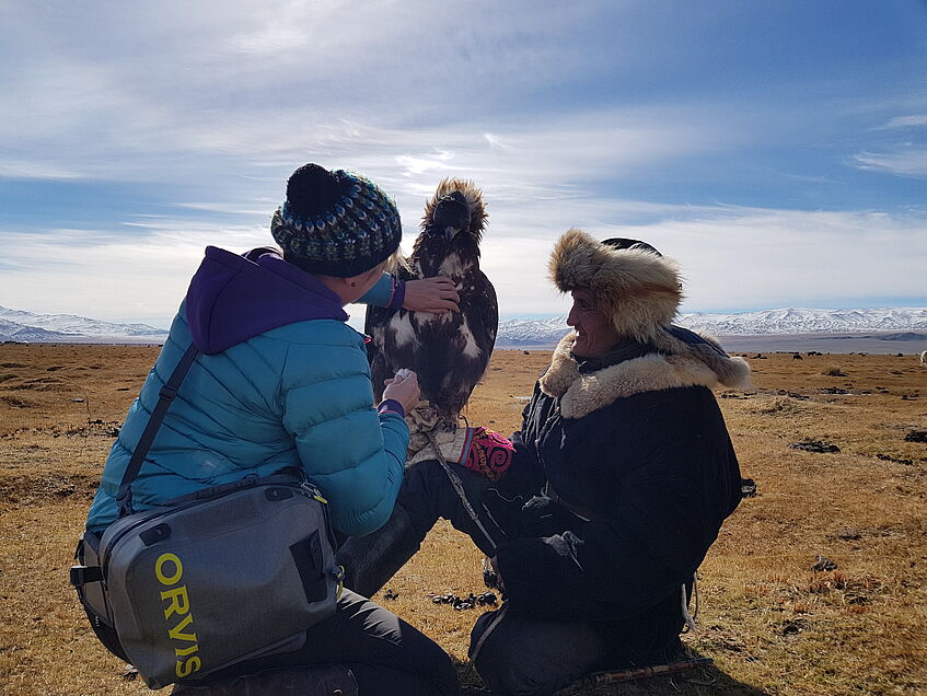 Eagle researcher meets Eagle hunter: gently, a feather is plucked from the breast of the falconry Golden Eagle. This procedure is harmless to the Eagle and one feather per bird is enough for science