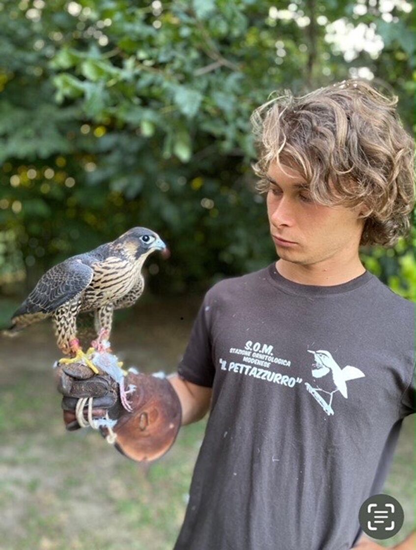 young man with falcon on hand