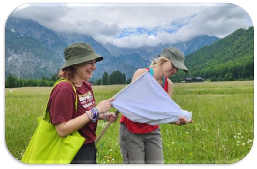 2 young researchers with insect net