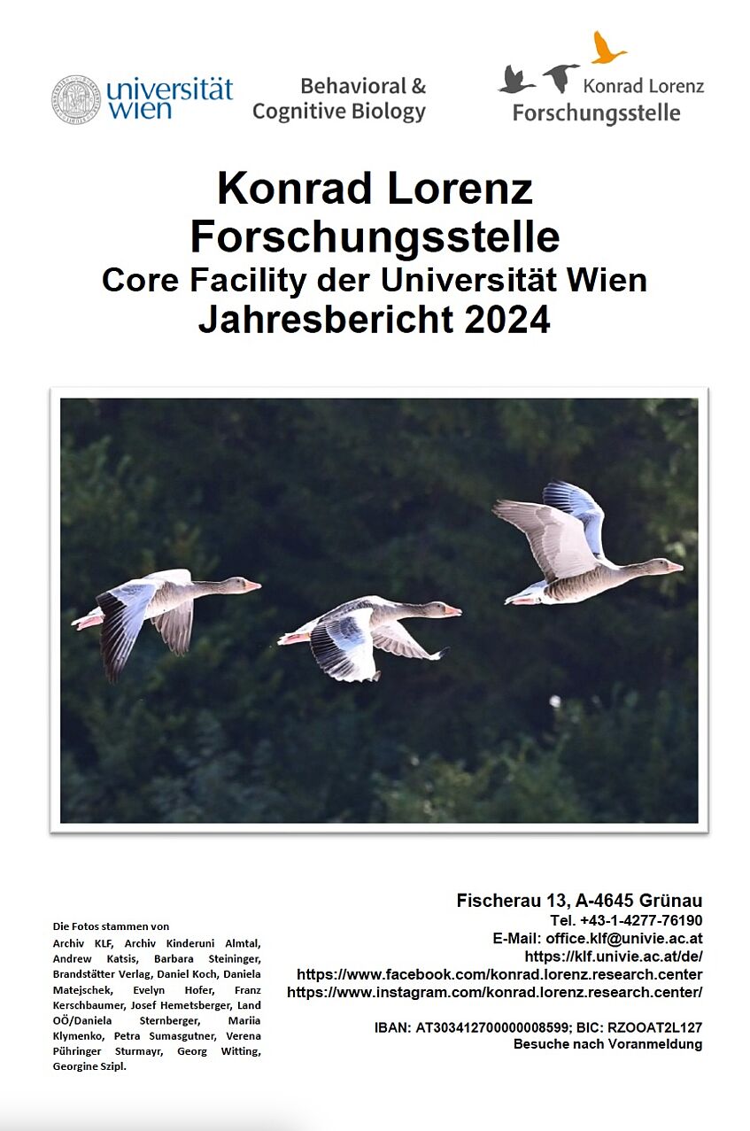 Titelbild einer Broschüre mit fliegenden Graugänsen