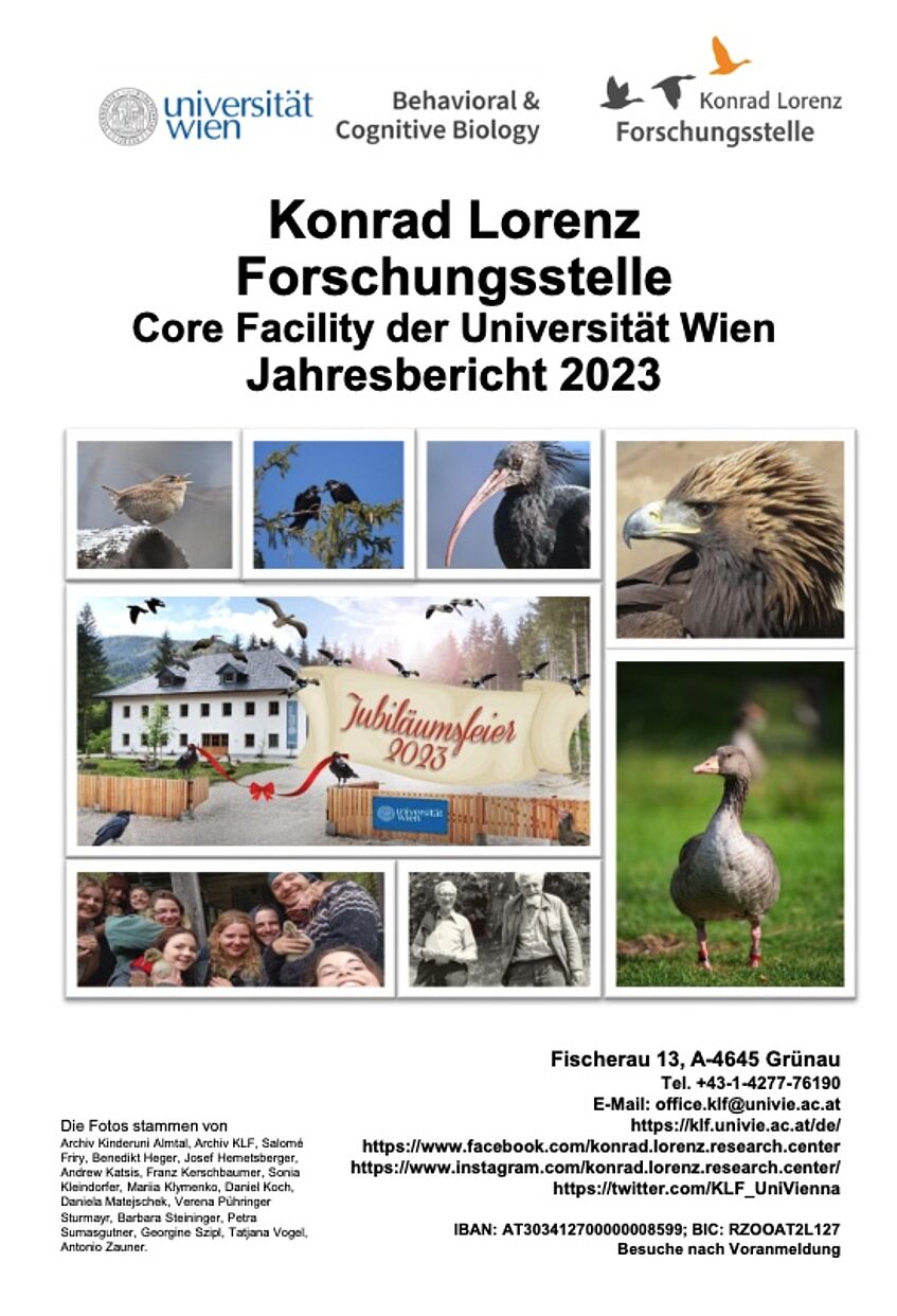 Titelbild einer Broschüre mit einer Fotocollage