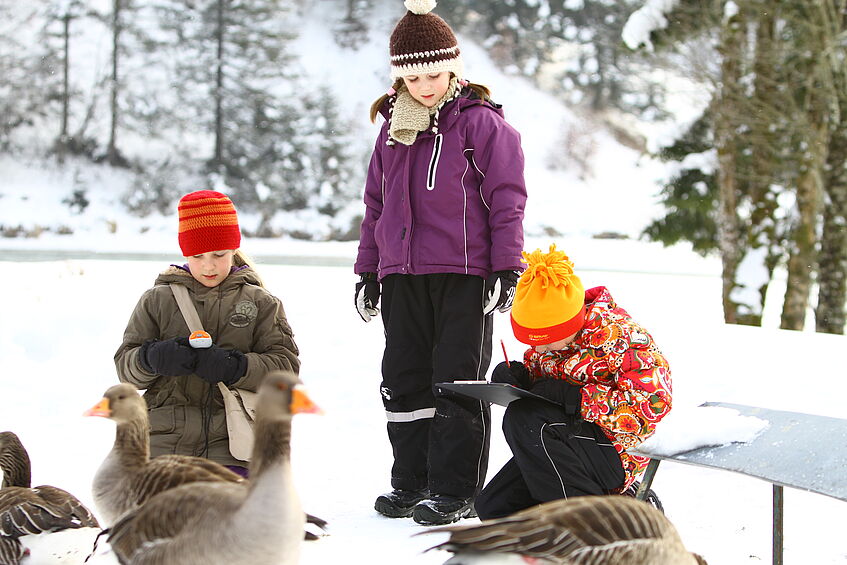 Drei Mädchen im Schnee mit Klemmbrett und Stopuhr beim beim Beobachten von Graugänsen