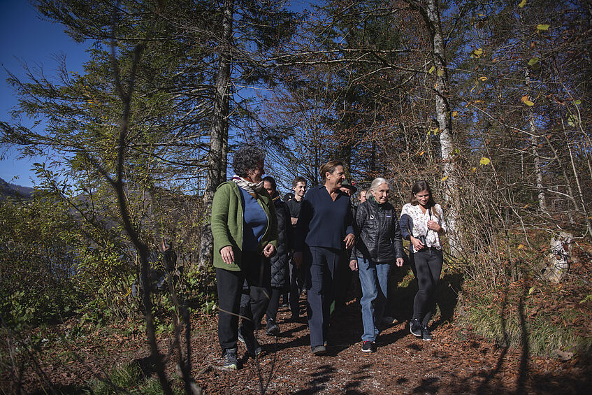 Jane Godall und eine kleine Gruppe wandern im herbstlichen Wald