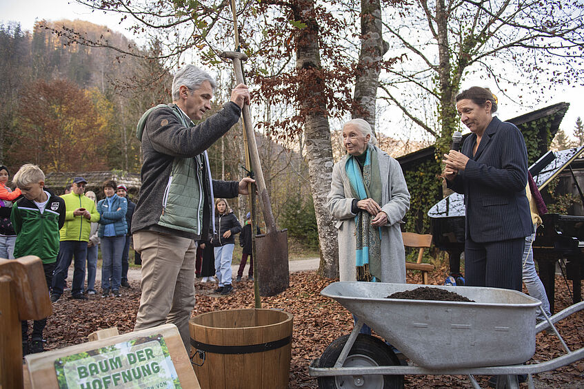 Jane Goodall planting a tree