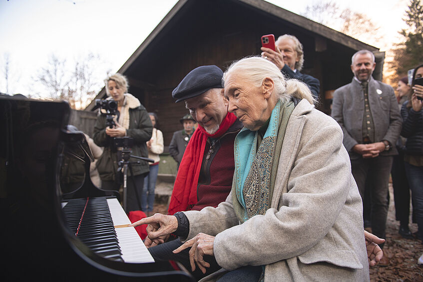 Jane Goodall spielt im Freien Piano