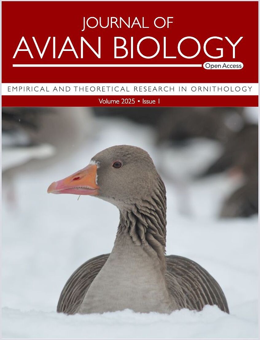 Cover of a Journal with a greylag goose in the snow