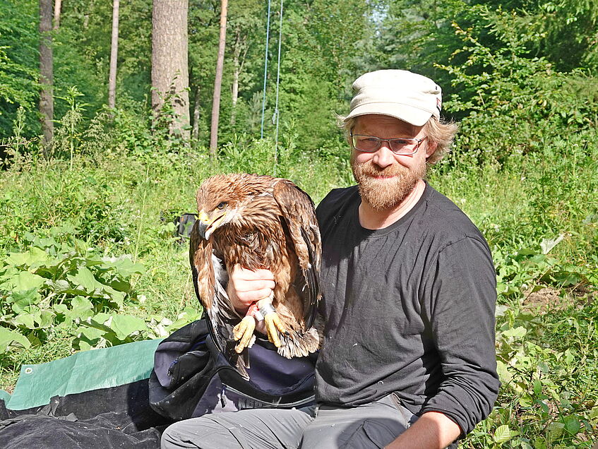 scientist in the field, holding an eagle in hand