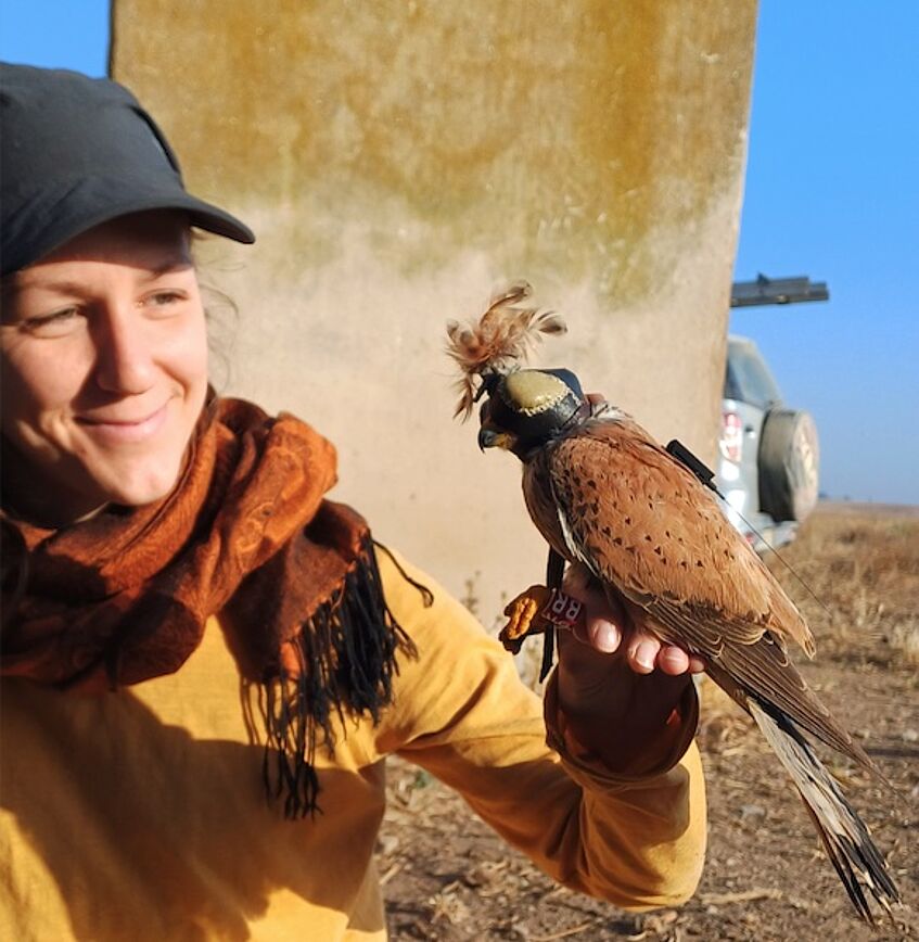 female student with  kestrel in hand