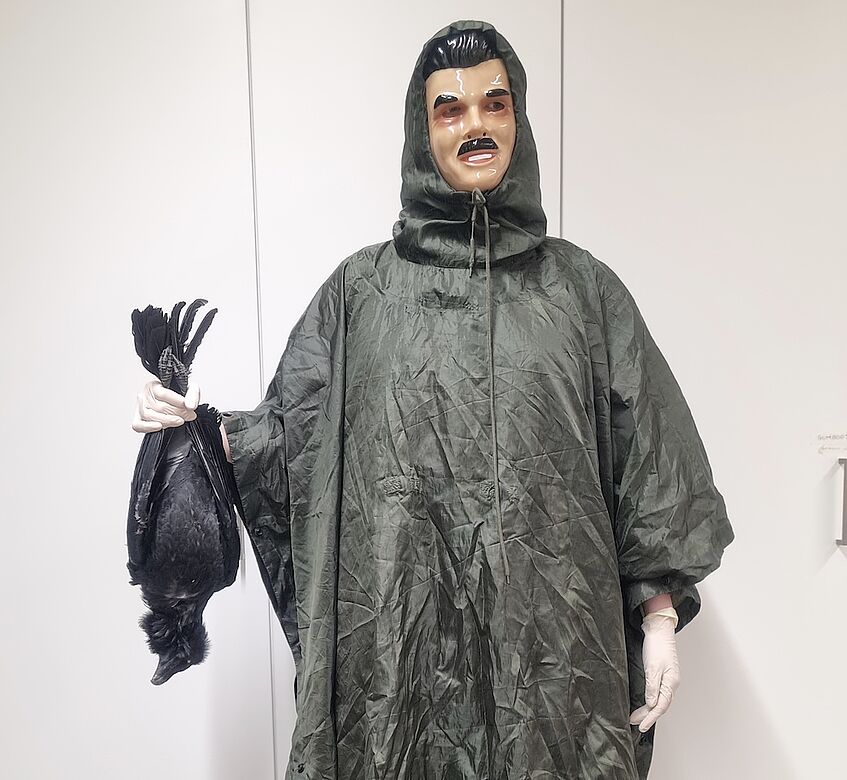 person wearing a raincoat and carnival mask, dead raven in hand