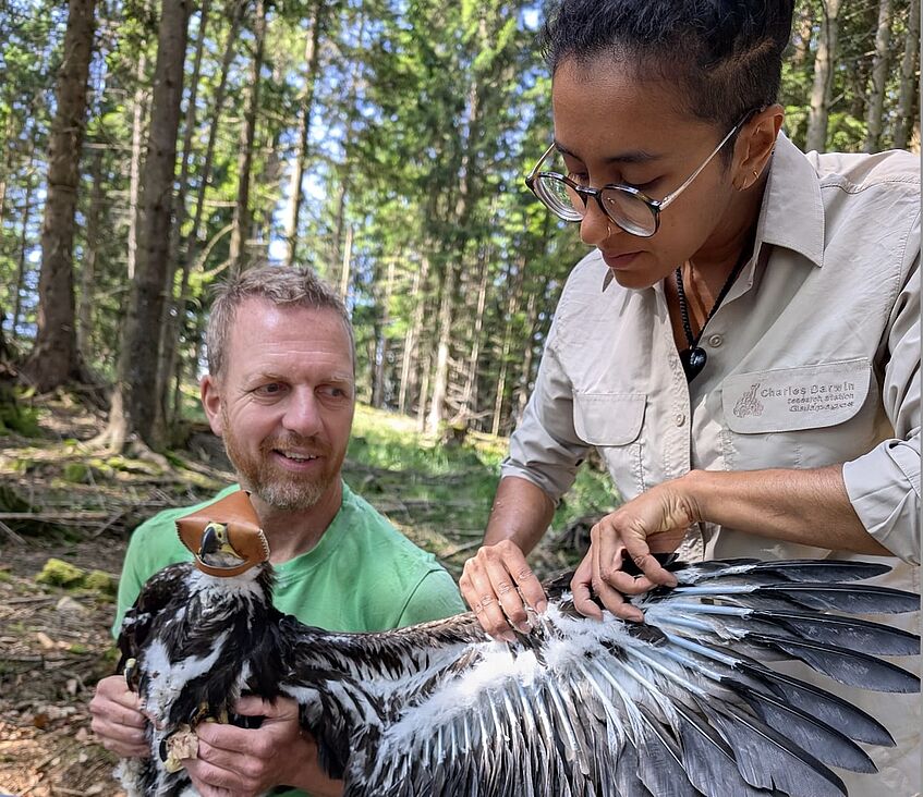 Ein Mann und eine Frau halten einen Adler
